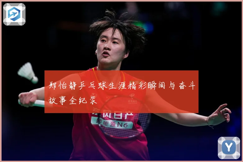 郑怡静乒乓球生涯精彩瞬间与奋斗故事全纪录